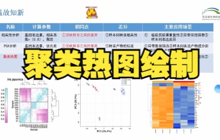 常见图片绘制聚类热图哔哩哔哩bilibili