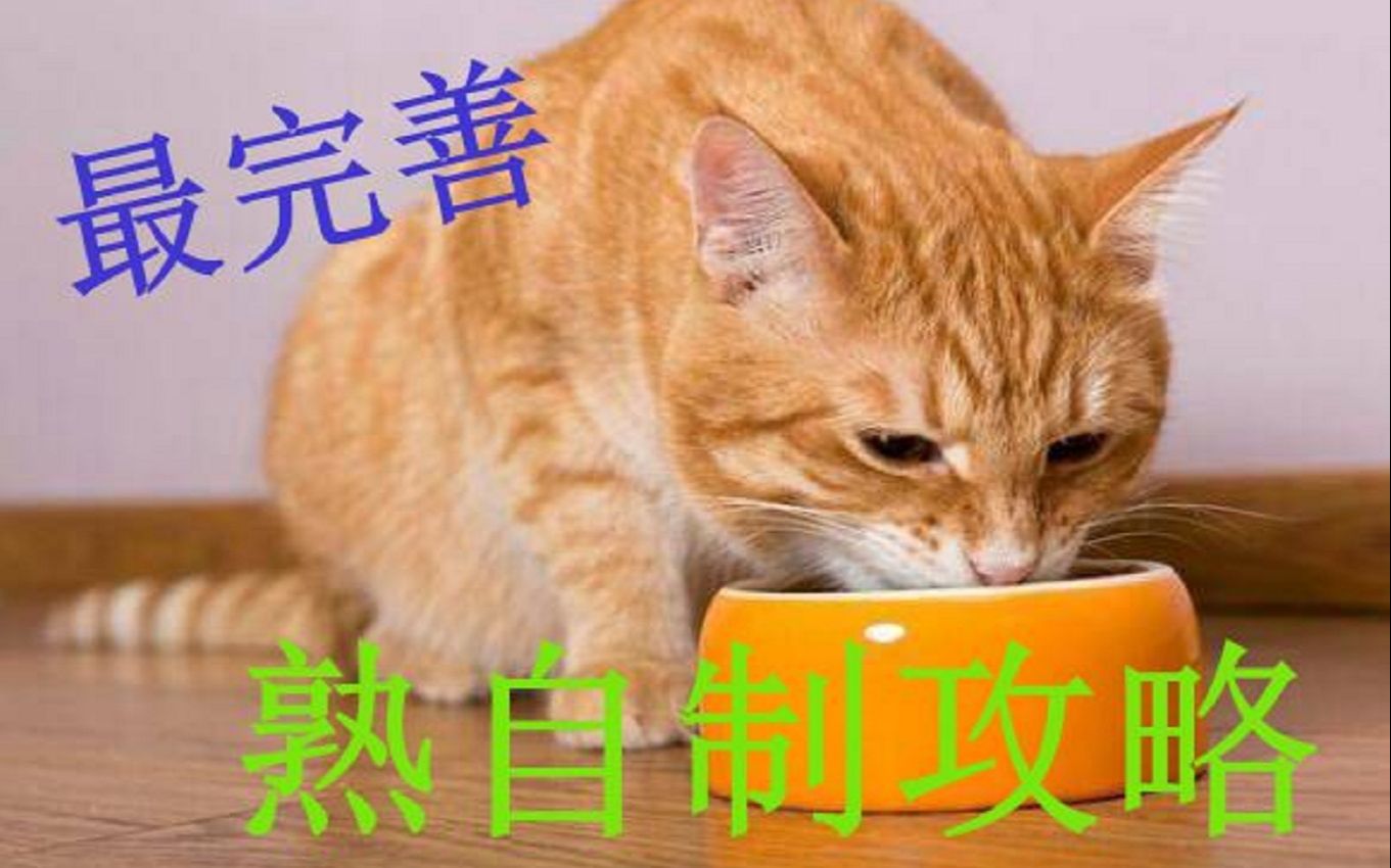 【不看后悔】全网最完善的熟自制教程!哔哩哔哩bilibili