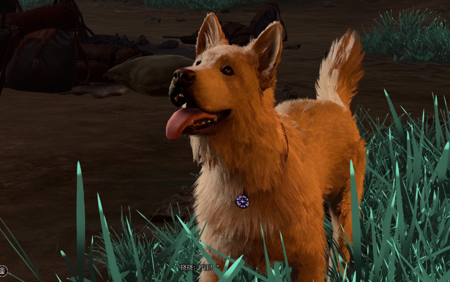 【博德之门3】挠挠——诸国的最佳伙伴