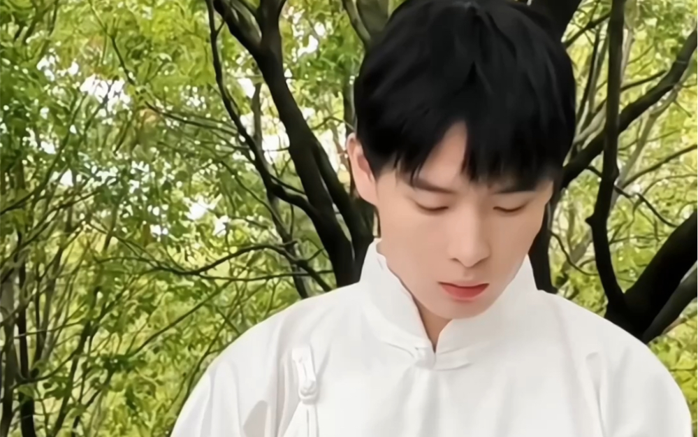 【冰尘】文弱书生李小龙