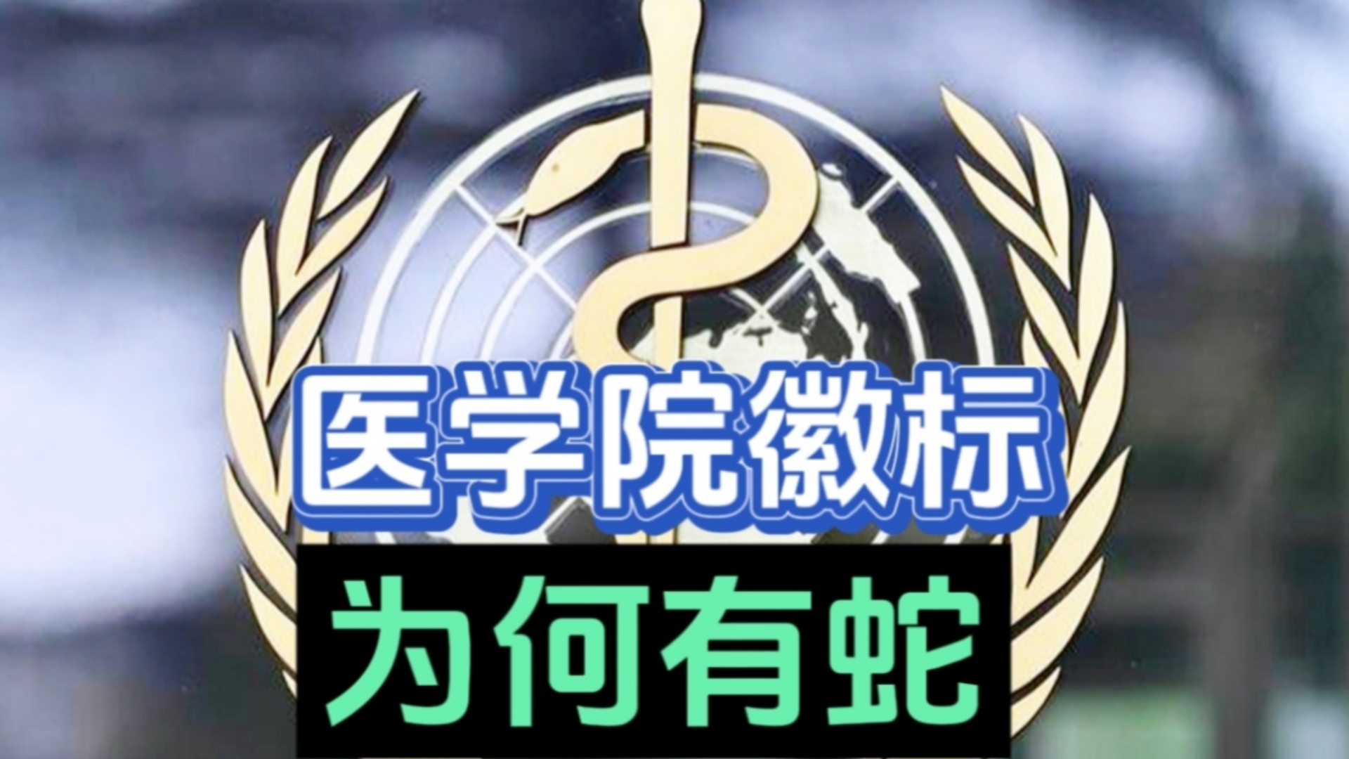 蛇年说蛇,医学院校的徽标为什么会有蛇?