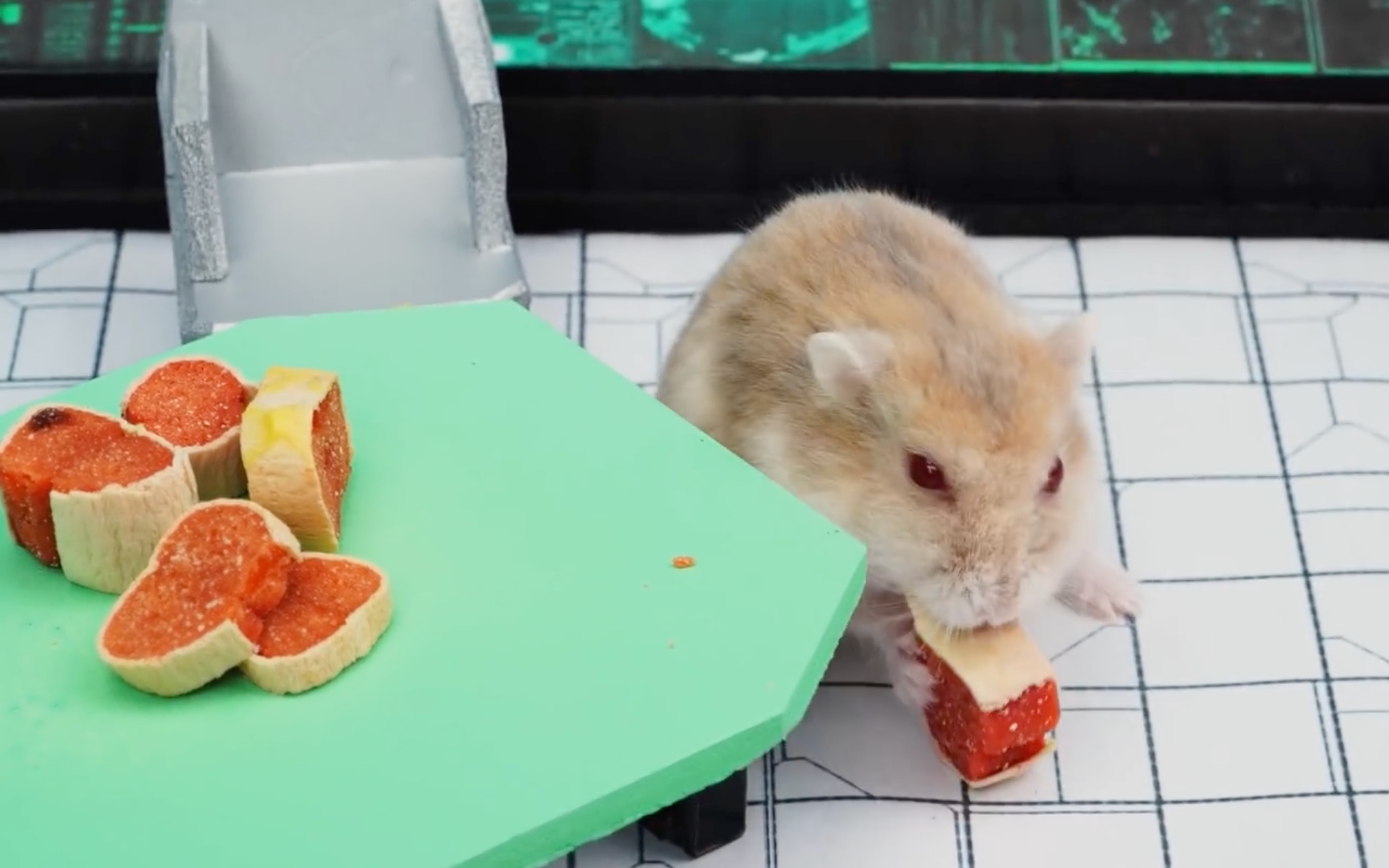 仓鼠大作战～猪腿肉