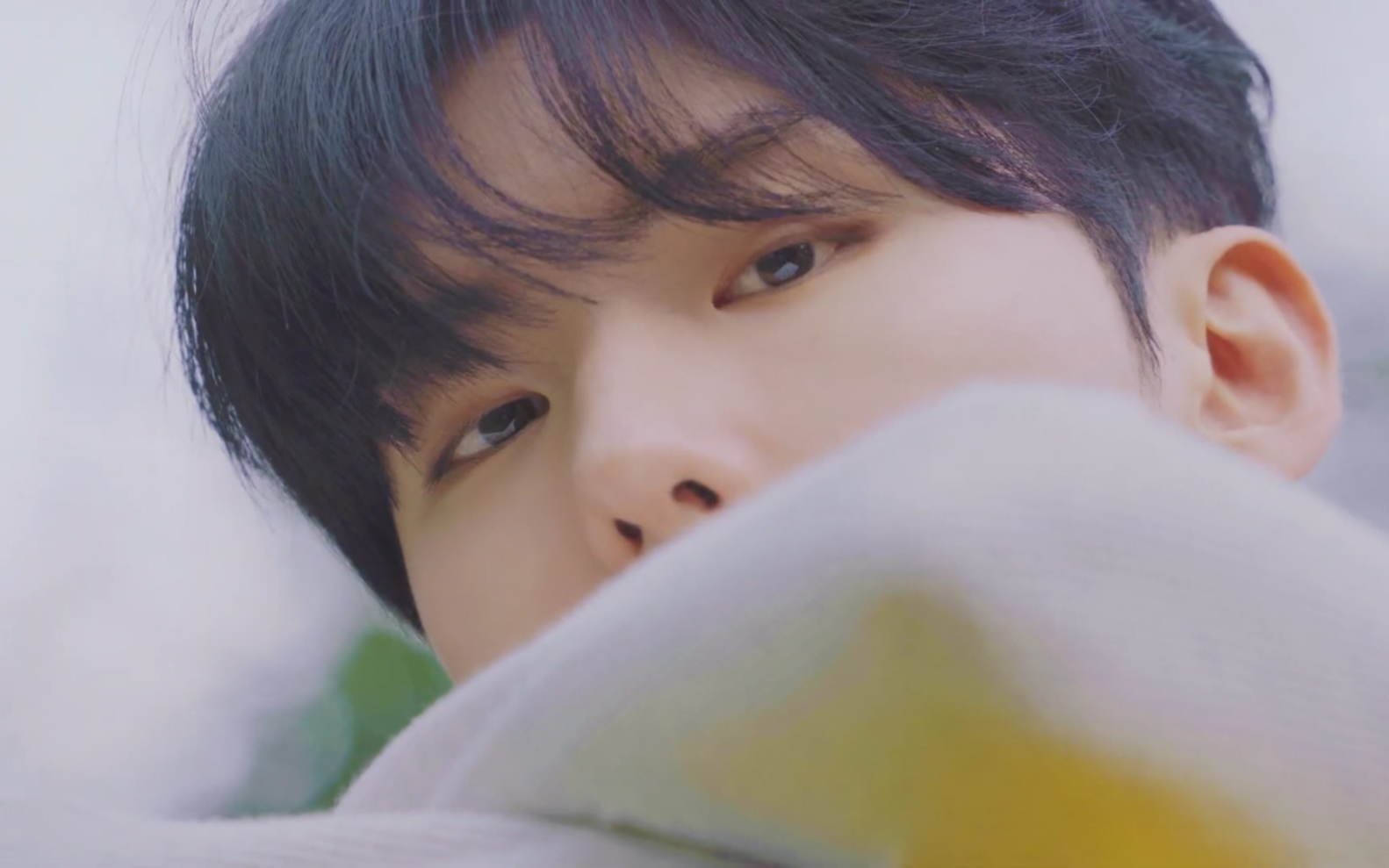 刘基贤的mini 1真的很爱