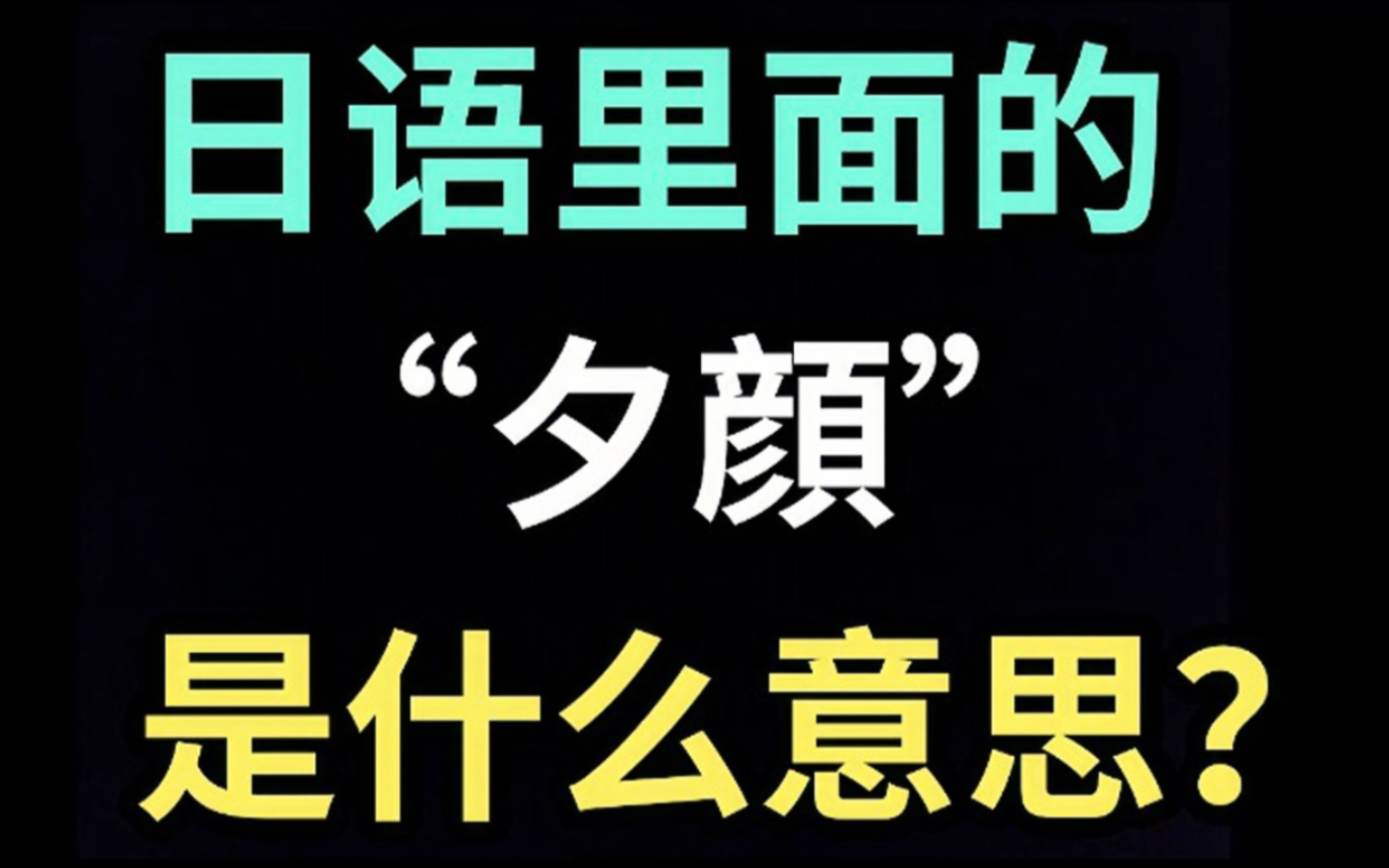 日语里的“夕顔”是什么意思?【每天一个生草日语】哔哩哔哩bilibili