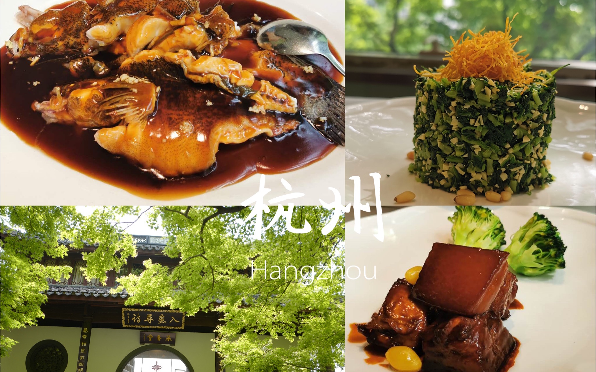 「春日」西湖骑行美食记/茶楼赏西湖三景/西湖醋鱼东坡肉本地推荐/虾