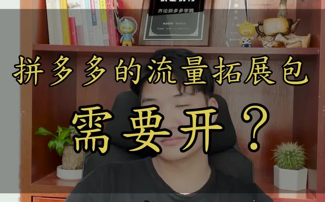 【齐论拼多多】拼多多的流量拓展包需要开吗?哔哩哔哩bilibili