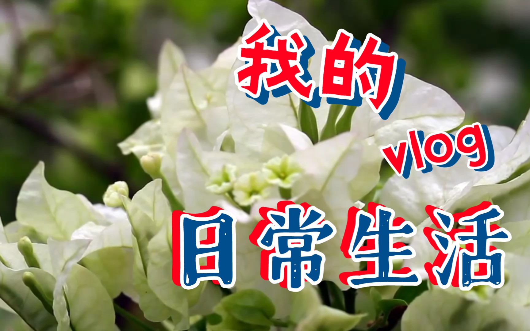 美好的一天从现在开始