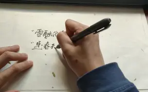 下载视频: 【手写摘抄】雪融化会是什么