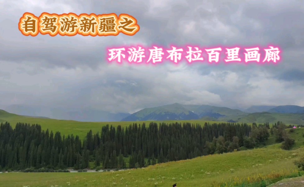 自驾游新疆第二站,打卡唐布拉百里画廊!