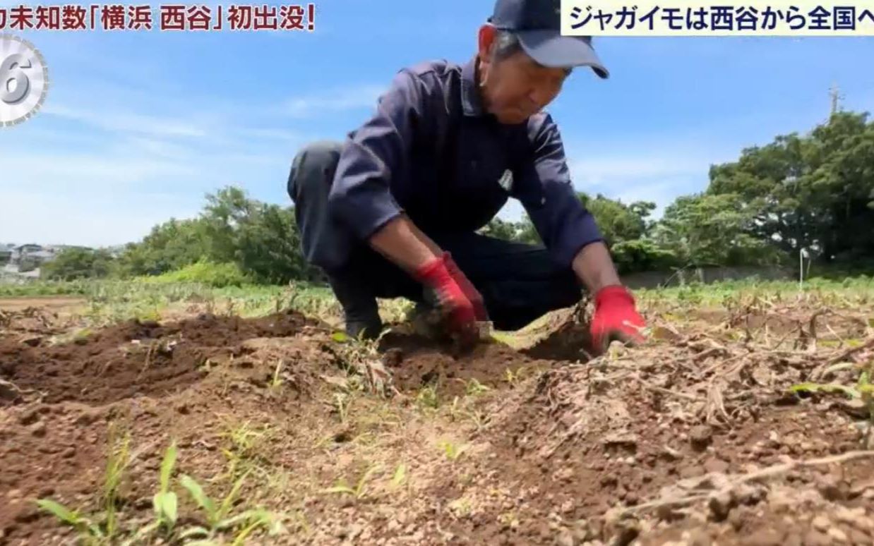 出没!冒险天国留下奇迹的原始风景的海滨乡村【横滨ⷮŠ西谷】85哔哩哔哩bilibili