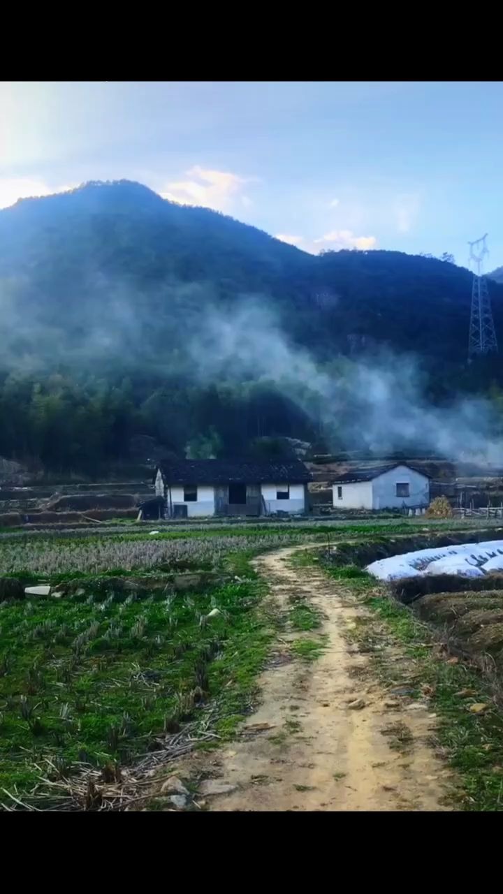 黃昏下的村莊炊煙裊裊田野間牛羊的叫聲映襯著人與自然萬物生生不息在