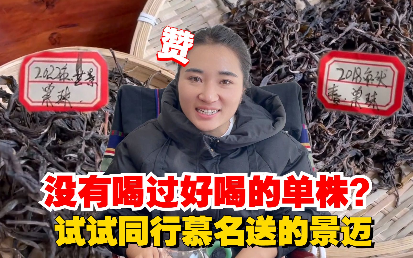 [图]没有喝过好喝的单株？同行慕名送的景迈，没想到令小五赞不绝口！