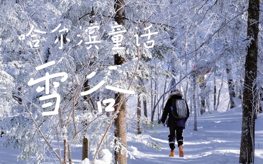 [图]哈尔滨看雪你不宣传这里你糊涂啊｜雪谷童话雾凇岭