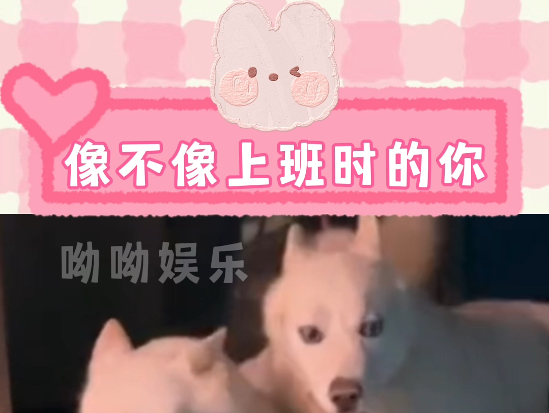 谁上班不累啊哔哩哔哩bilibili