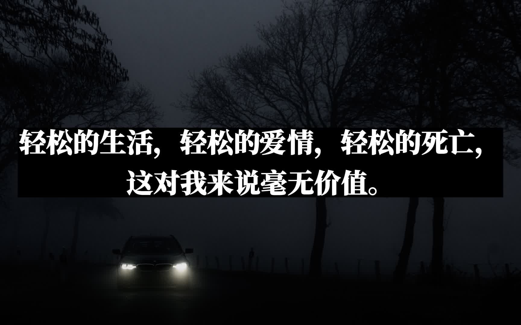 我一生的核心是高贵的,过得很有骨气,不在于几个芬尼的得失,而立意追求日月星辰.|赫尔曼ⷩ𛑥ឣ€Š荒原狼》书摘哔哩哔哩bilibili