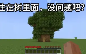 下载视频: 住在树里面，简易树屋教程