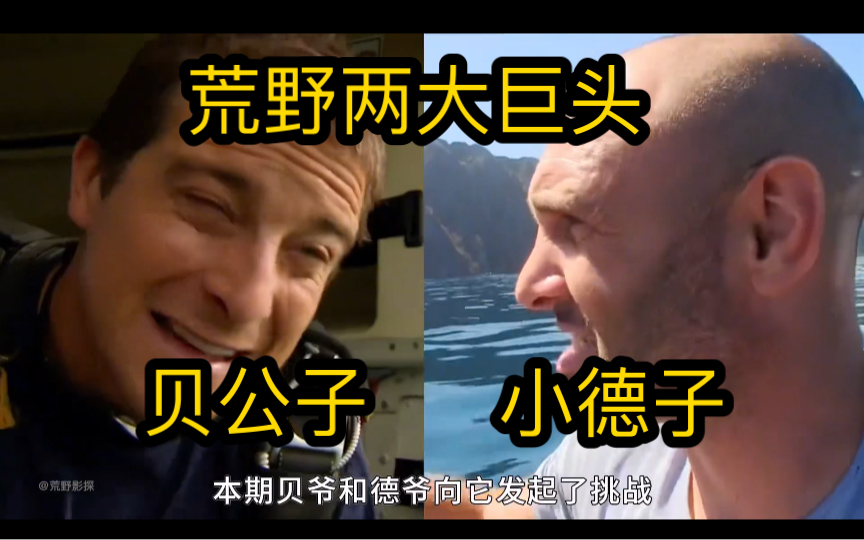 德爷贝爷同框求生,孰强孰弱拭目以待