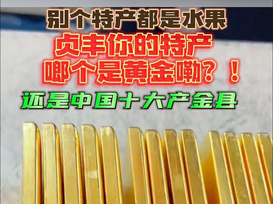 别个特产都是水果,贞丰你的特产啷个是黄金嘞?!还是中国十大产金县哔哩哔哩bilibili