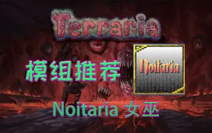 Download Video: 【泰拉瑞亚】超模模组推荐  Noitaria 女巫 【16】