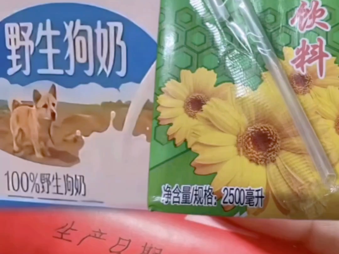 时间 空间 因果