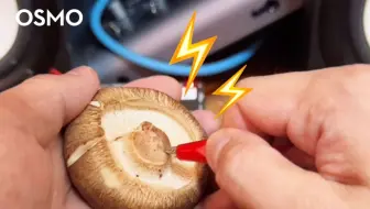 ⚡️《 我 是 真 正 的 灵 感 菇 》⚡️