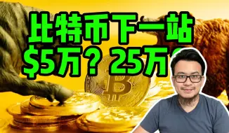 Скачать видео: 比特币下一站？$5万还是$25万？