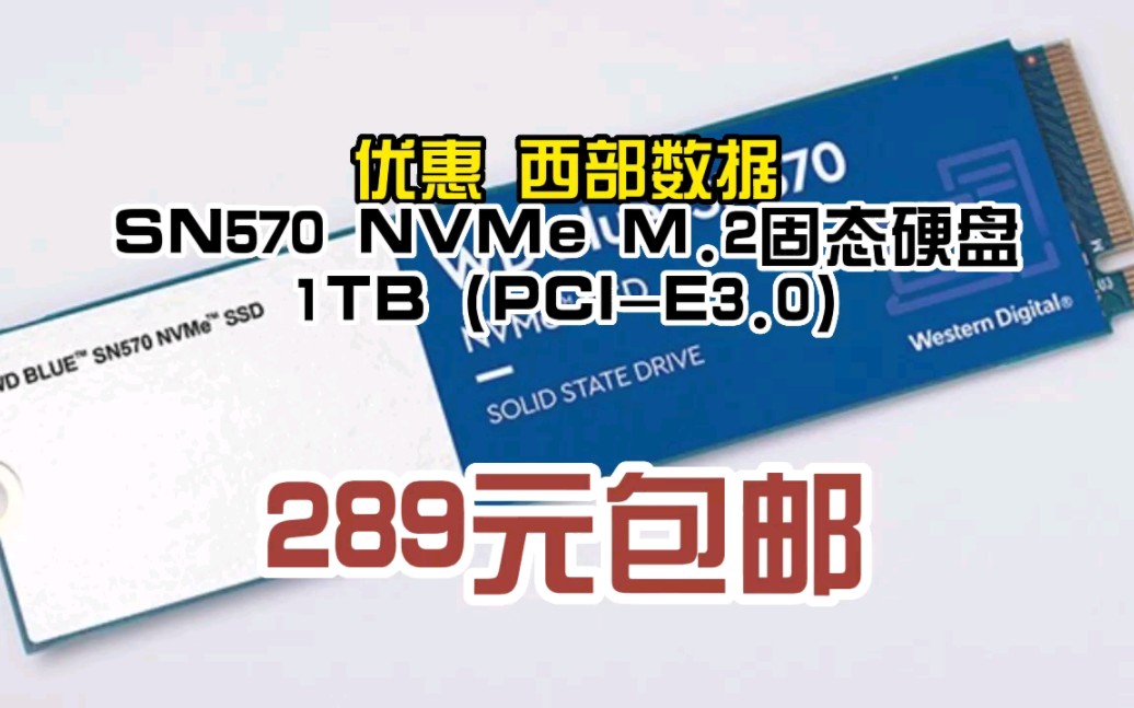 西部数据(WD) 蓝盘 SN570 M.2接口(NVMe协议)台式机笔记本高速游戏SSD固态硬盘 蓝盘 SN570 1TB 061196哔哩哔哩bilibili