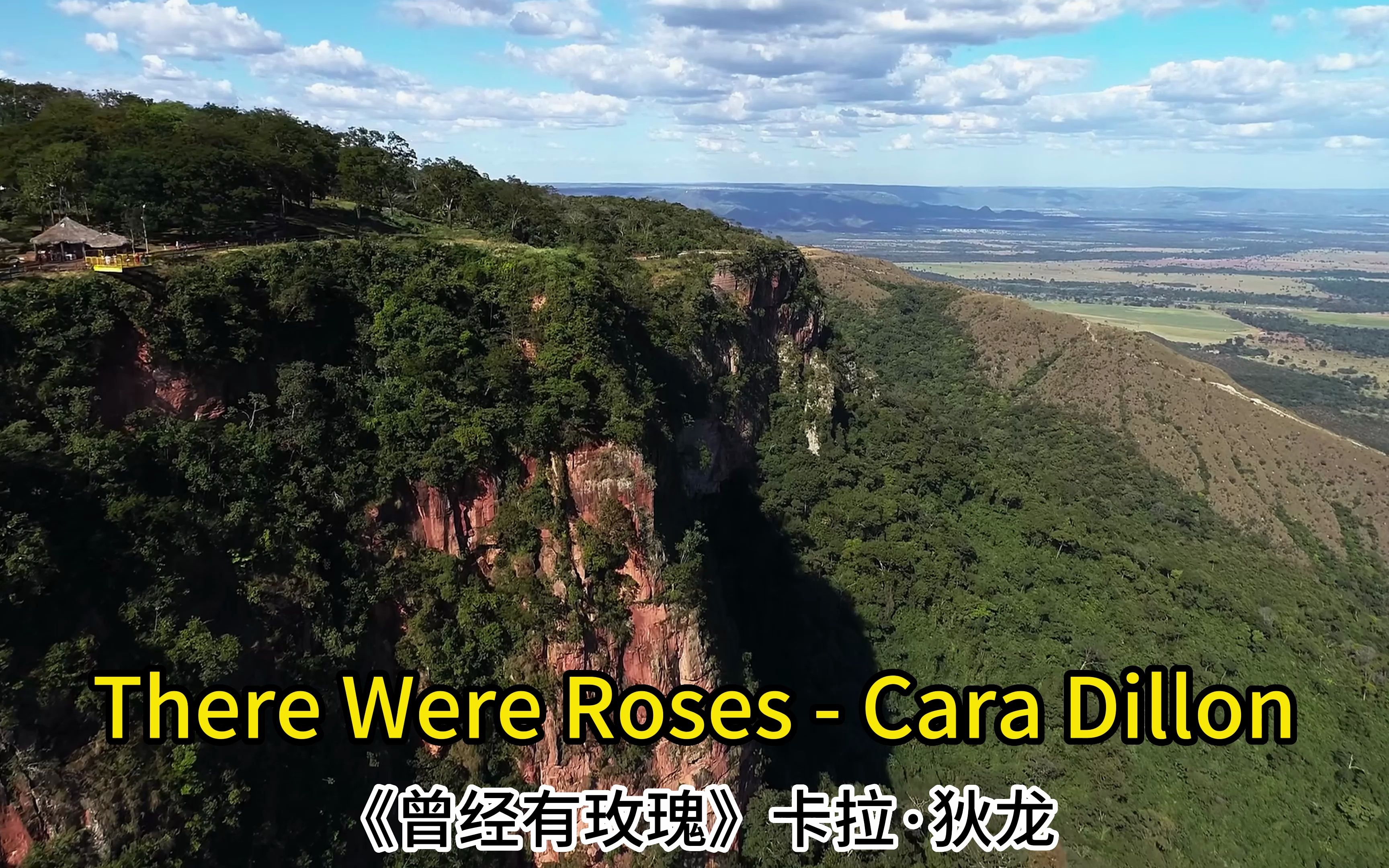 [图]爱尔兰民谣《There Were Roses》 有点伤感