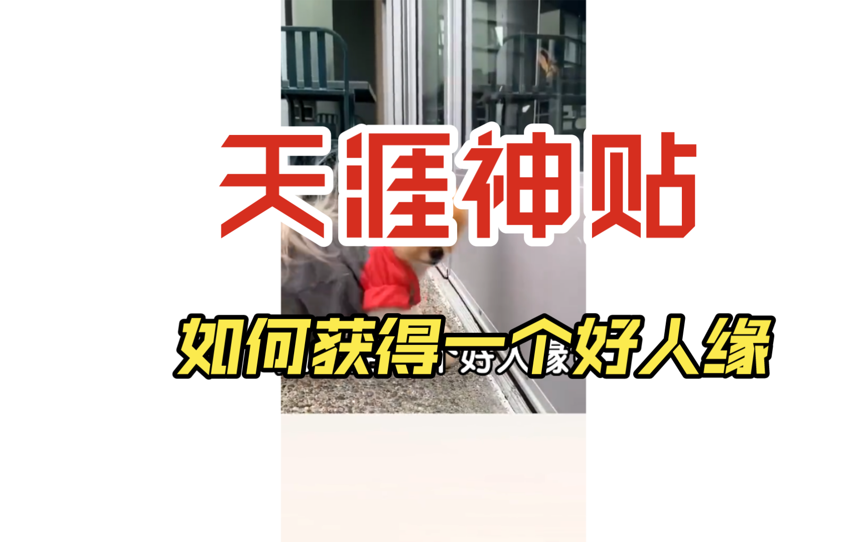 天涯神贴——如何结交好人缘