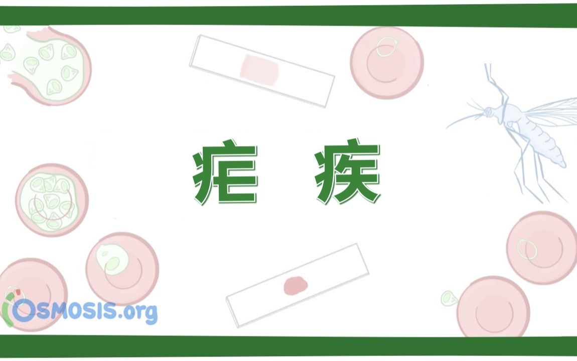 【Osmosis】疟疾 Malaria(中英字幕)哔哩哔哩bilibili