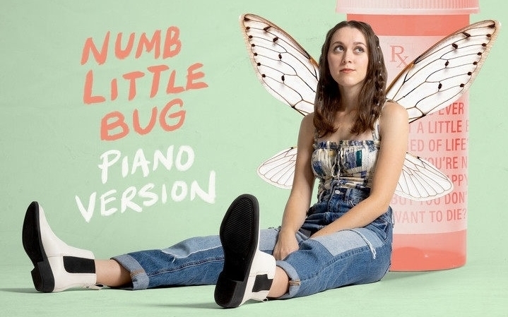 [图]歌曲名：Numb Little Bug (Piano Version)歌手：Em Beihold