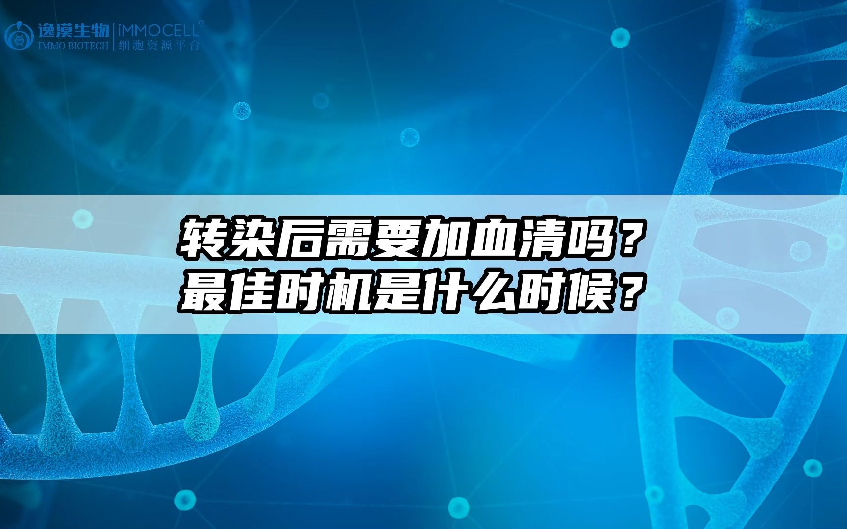 [图]转染后需要加血清吗？最佳时机是什么时候？