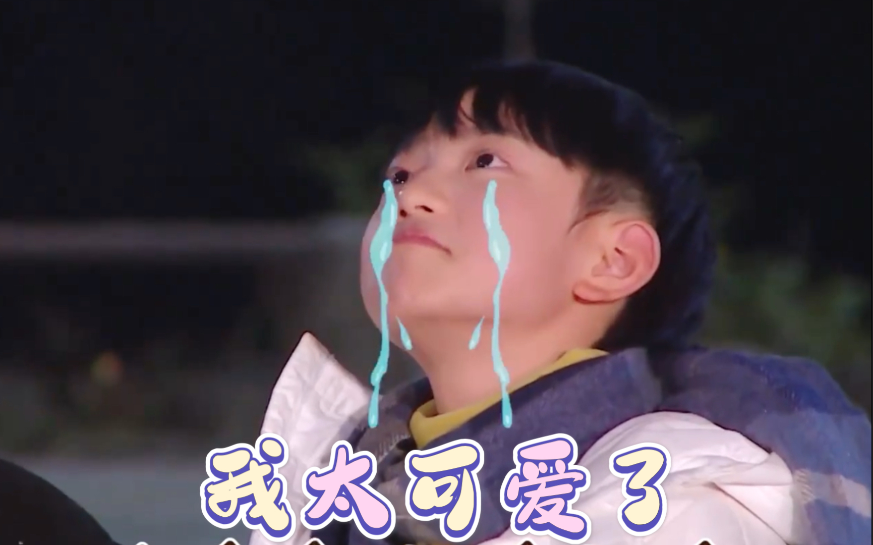 穆祉丞恩仔我的缺点是太可爱了