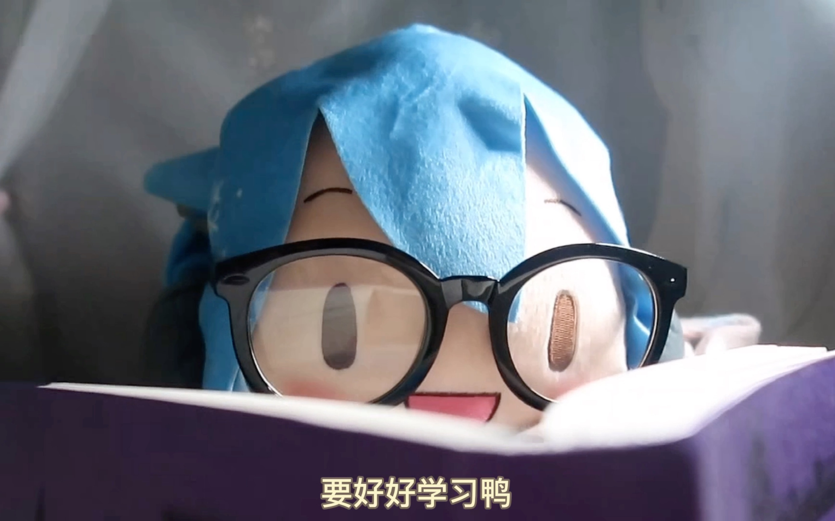 初音未来第一只来我家吃大米的fufu开箱纪念