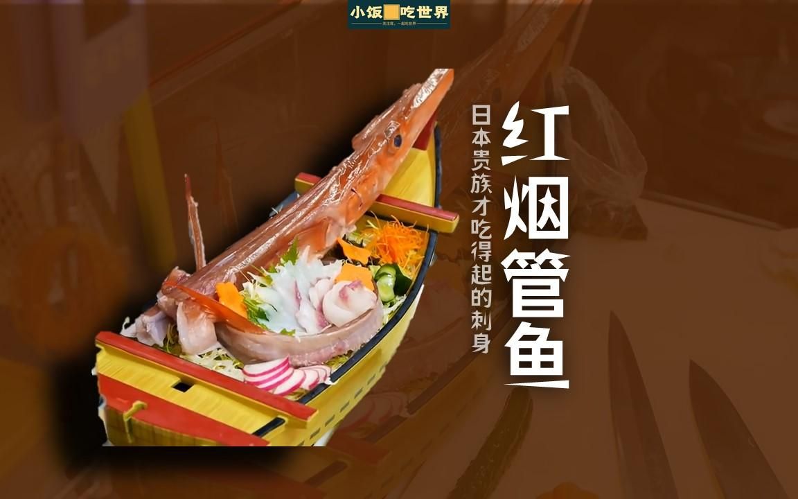 日本超贵的红烟管鱼刺身