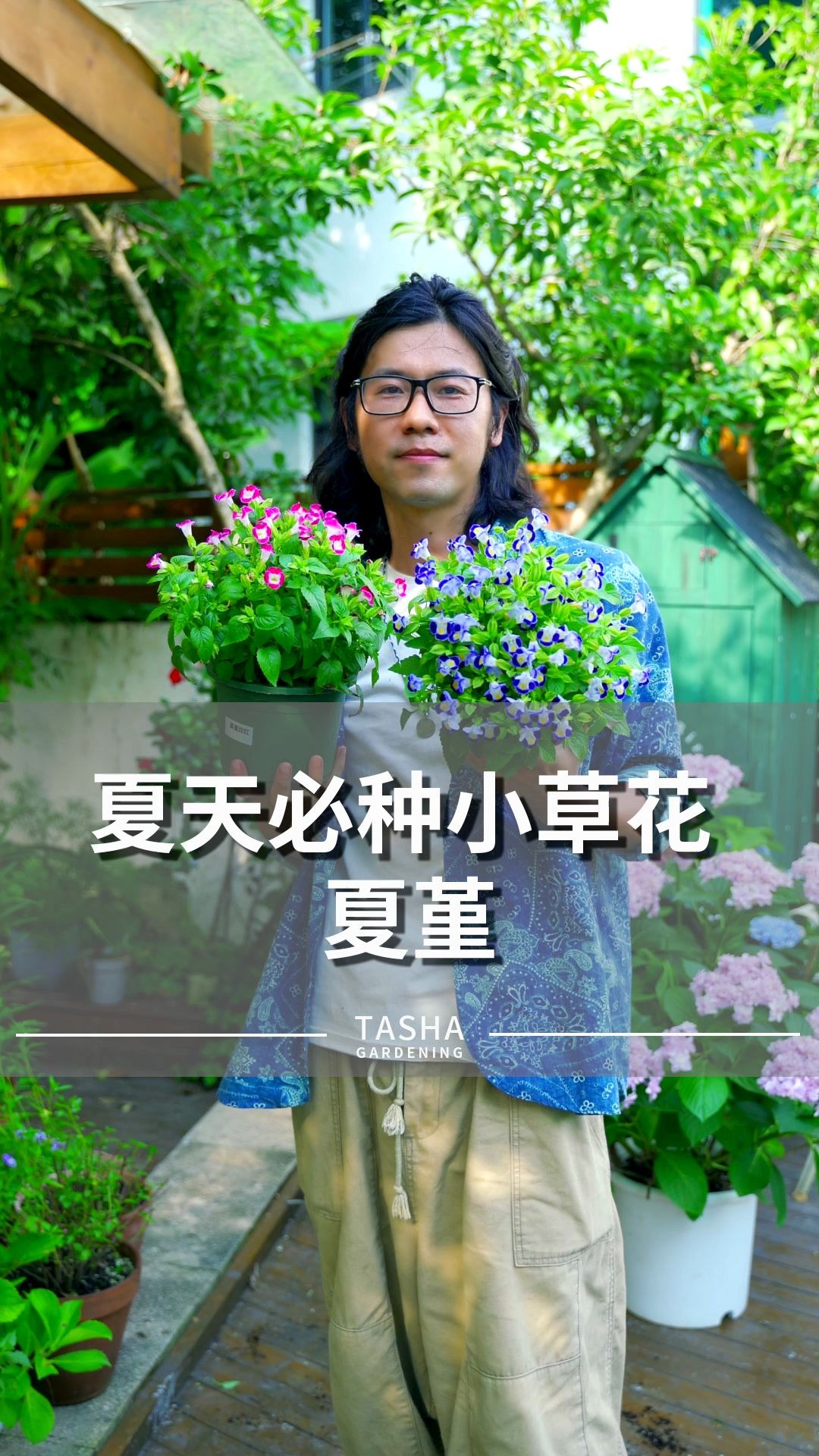 夏季也能开爆花的夏堇,你喜欢吗?哔哩哔哩bilibili