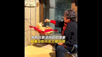 “爷爷奶奶的宠爱”