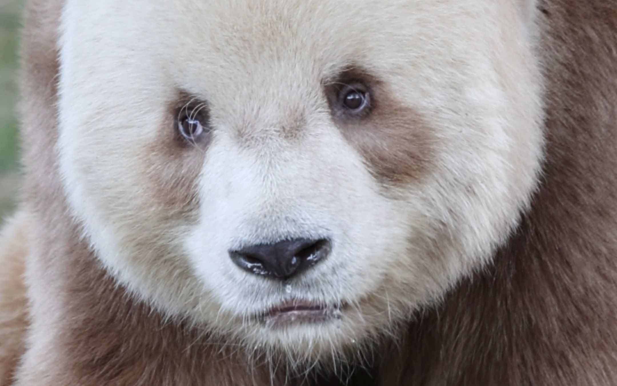 七仔:我一个白眼就把你迷倒