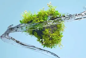 Download Video: 【C4D教程】太顺滑了！C4D植物生长水流动画教程