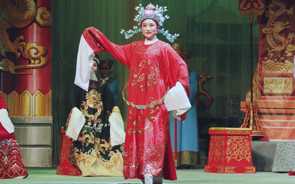 王志萍《孟丽君》满分自夸型选手