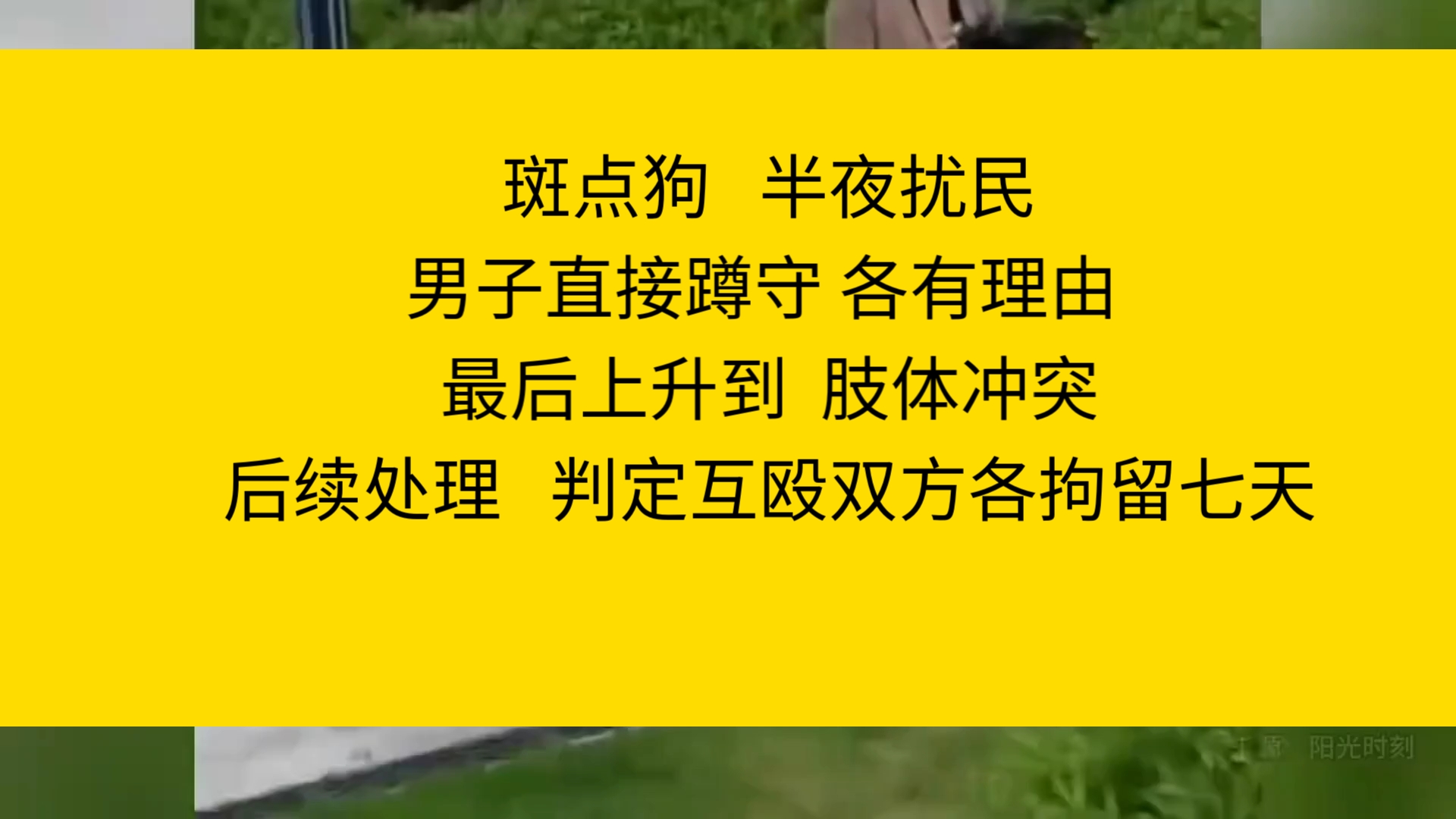 斑点狗半夜扰民 男子直接蹲守 各有理由 最后上生到肢体冲突 爆揍女狗主人和狗后续处理 判定互殴,双方各拘留七天哔哩哔哩bilibili