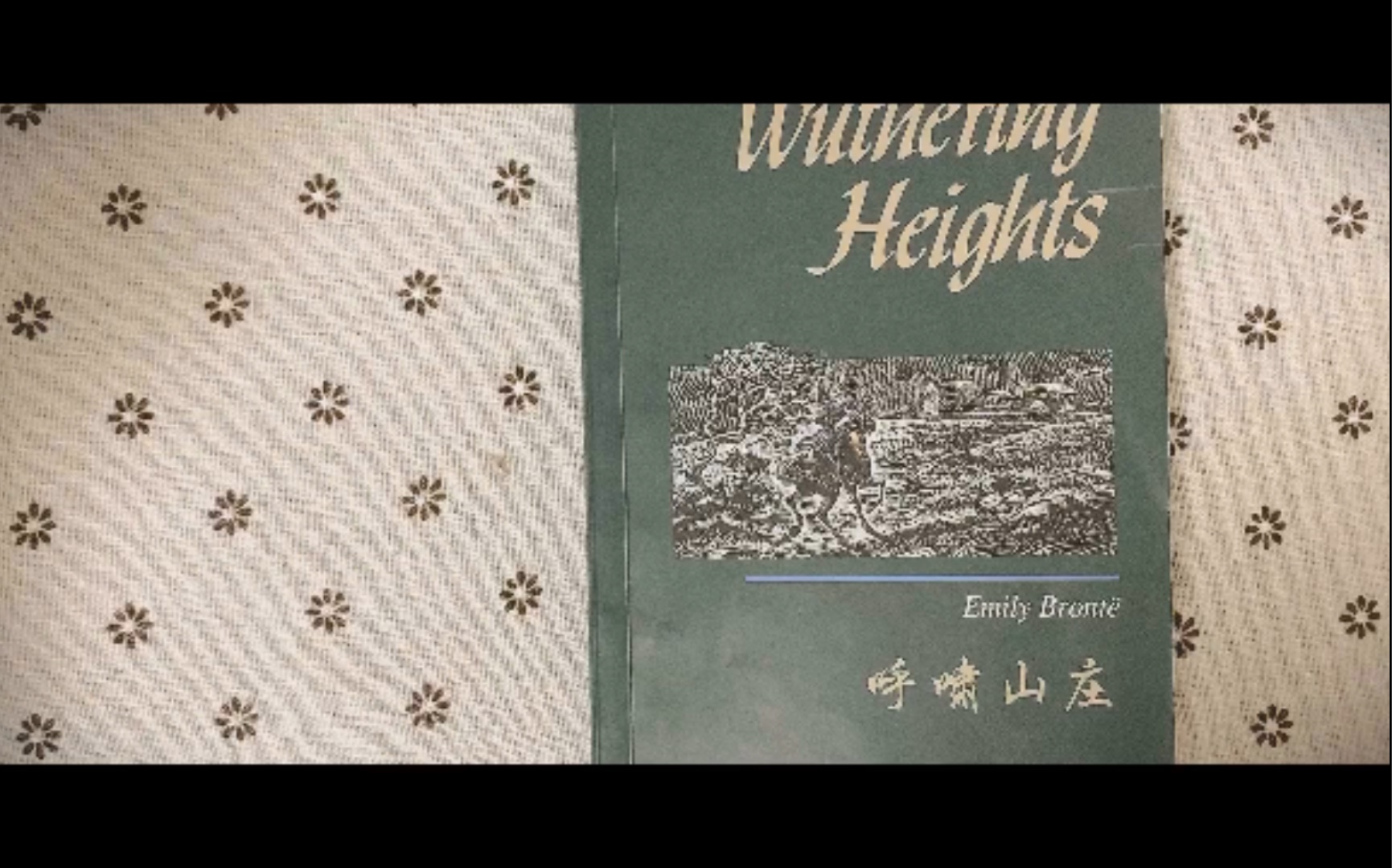 【一起读书吧】《呼啸山庄》英文原版阅读 |Wuthering Heights Chapter 4哔哩哔哩bilibili