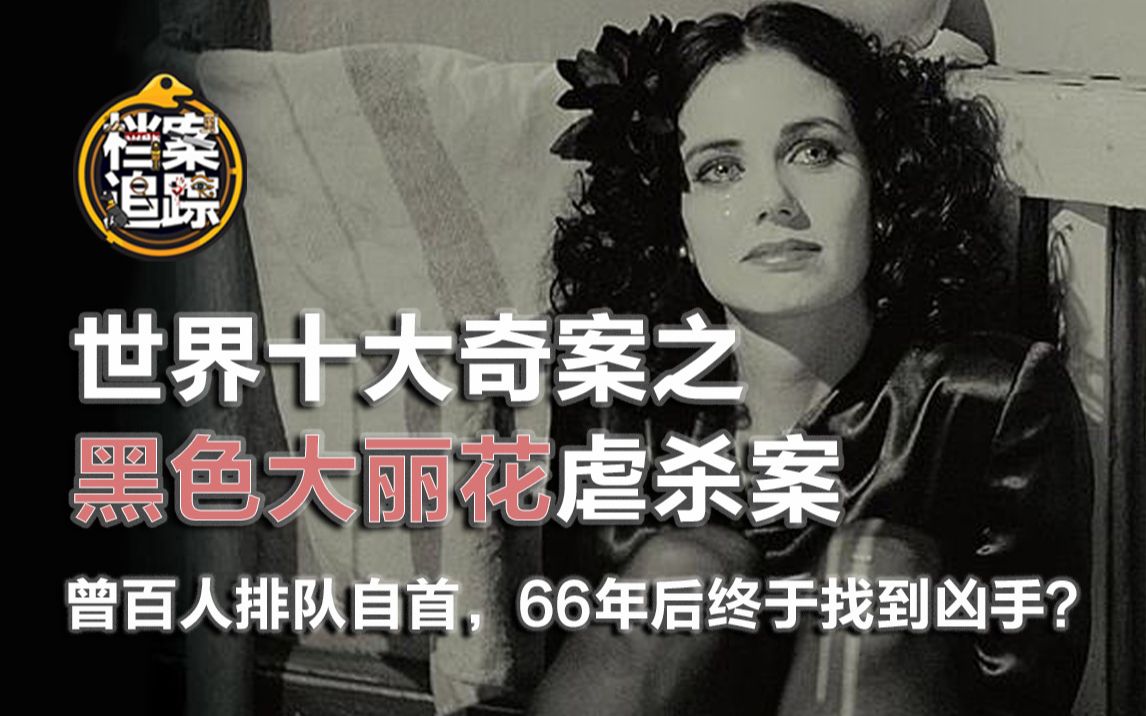 史上悬案之首黑色大丽花惨案,少女惨遭分尸66年后终于找到凶手?哔哩哔哩bilibili