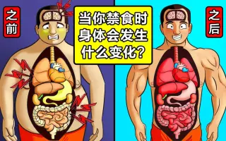 合食禁 搜索结果 哔哩哔哩 Bilibili