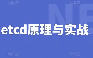 Descargar video: B站讲的最好的etcd原理与实战