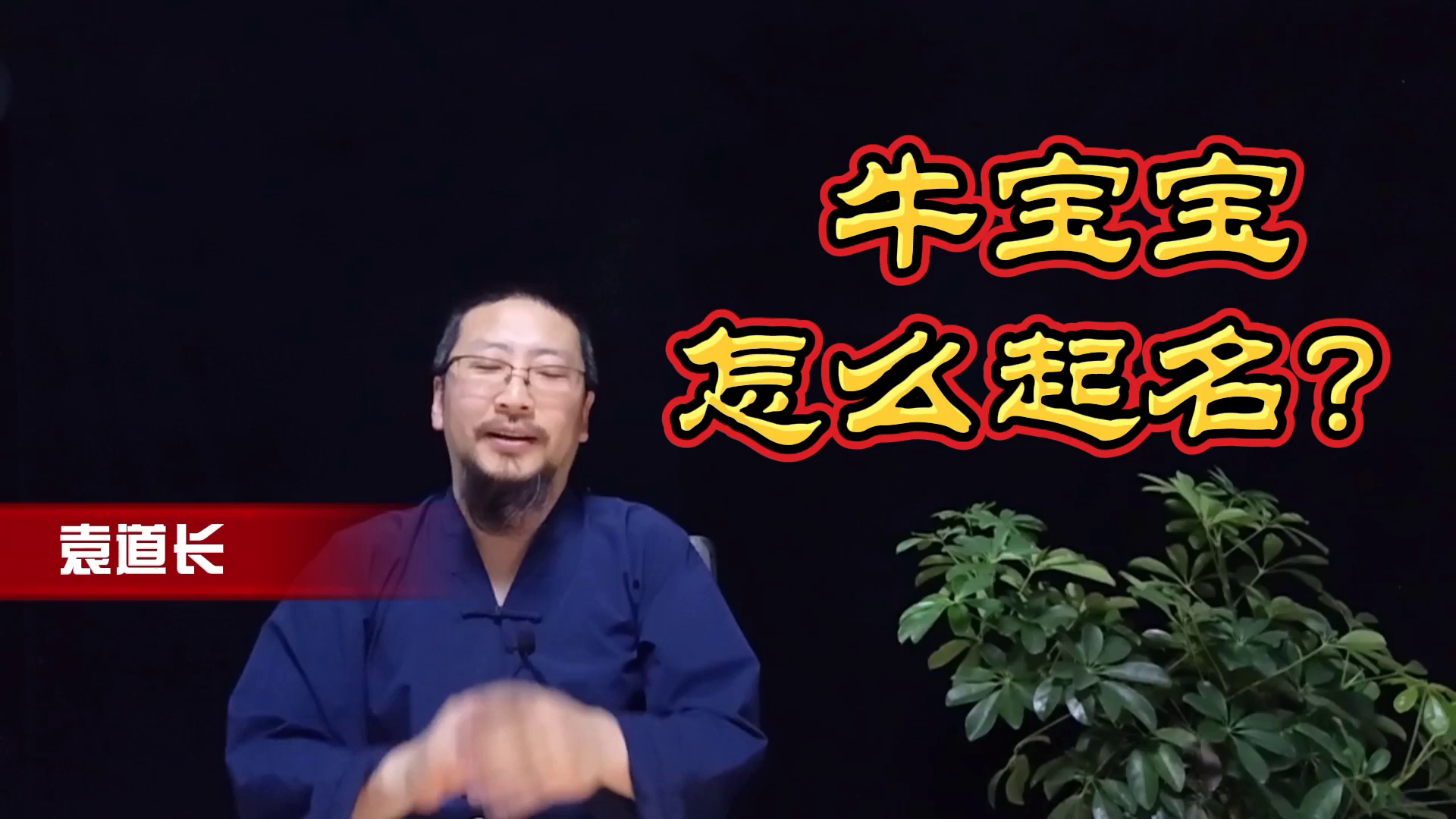 2021牛年出生的宝宝起名字需要注意什么哔哩哔哩bilibili