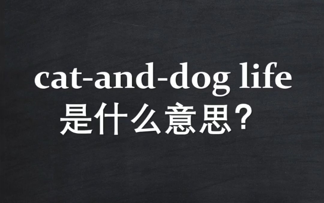 [图]Cat-and-dog life是什么意思？