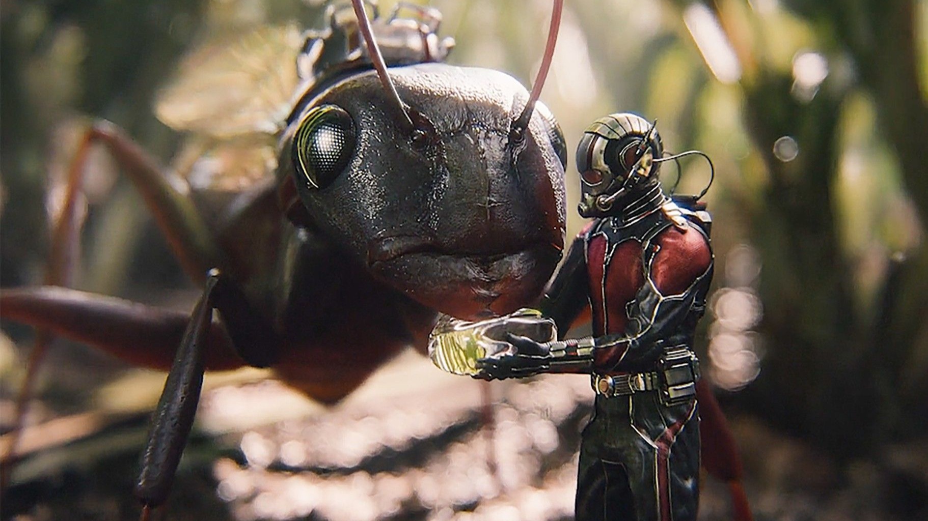 将身体缩小至蚂蚁大小，且力量不变，无敌了！