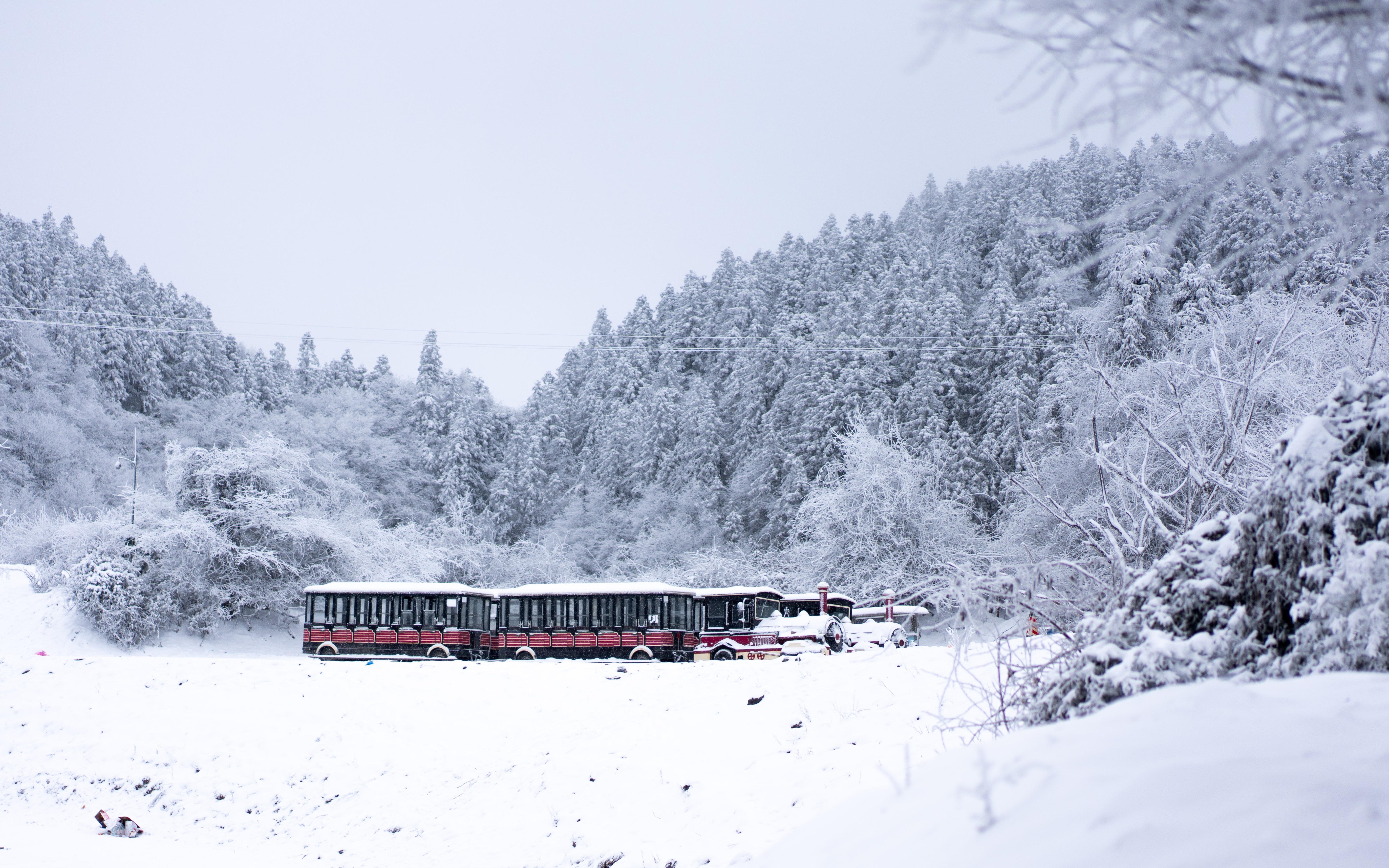 索尼相机拍雪景参数图片