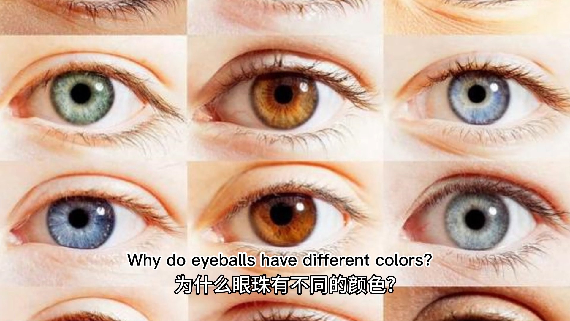 为什么会有颜色